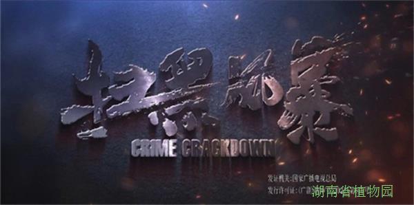 AG旗舰厅(中国游)官方网站