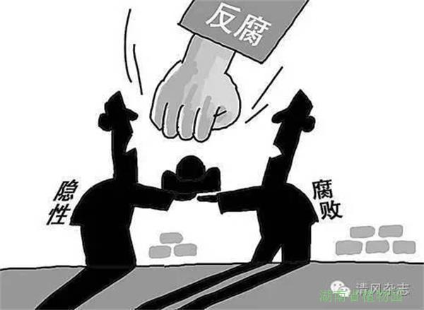AG旗舰厅(中国游)官方网站
