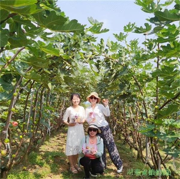 AG旗舰厅(中国游)官方网站