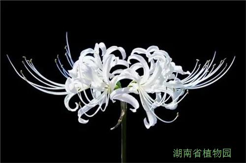 AG旗舰厅(中国游)官方网站