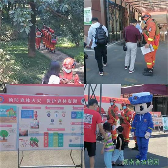 AG旗舰厅(中国游)官方网站