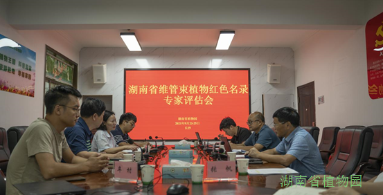 AG旗舰厅(中国游)官方网站