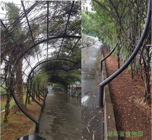 AG旗舰厅(中国游)官方网站