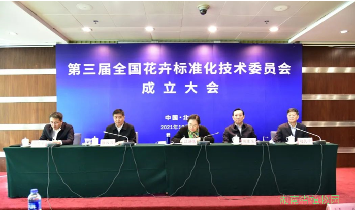 AG旗舰厅(中国游)官方网站