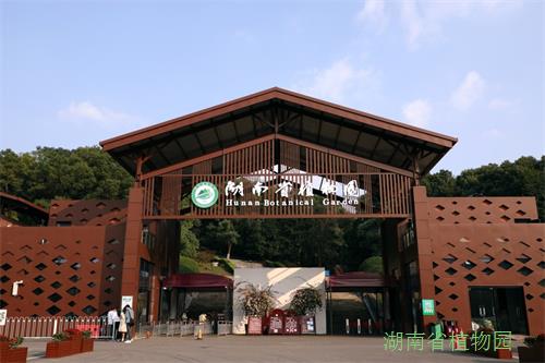 AG旗舰厅(中国游)官方网站