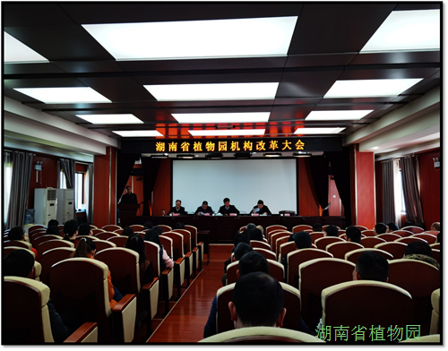 AG旗舰厅(中国游)官方网站