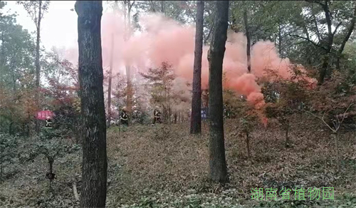 AG旗舰厅(中国游)官方网站
