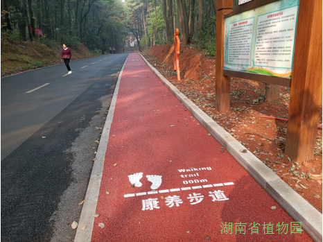 AG旗舰厅(中国游)官方网站