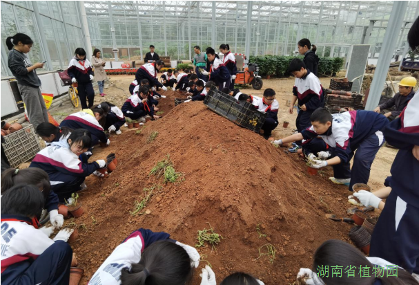 AG旗舰厅(中国游)官方网站