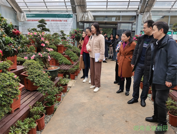 AG旗舰厅(中国游)官方网站