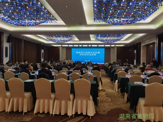 AG旗舰厅(中国游)官方网站