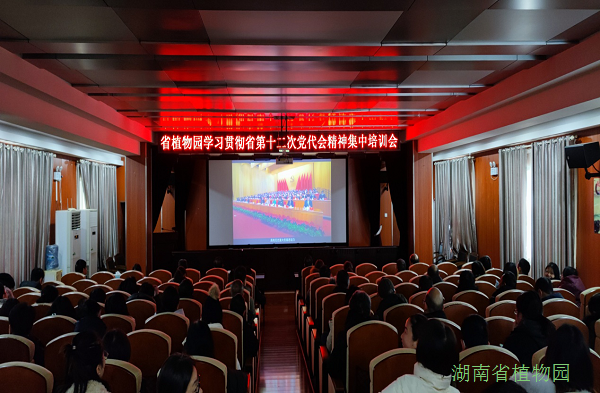 AG旗舰厅(中国游)官方网站