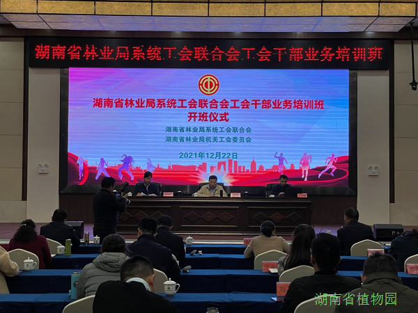 AG旗舰厅(中国游)官方网站
