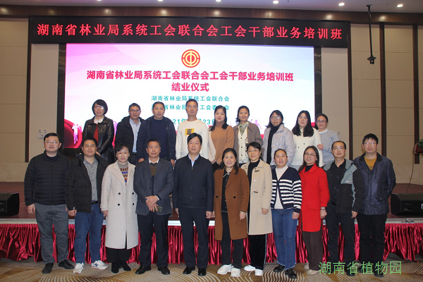 AG旗舰厅(中国游)官方网站