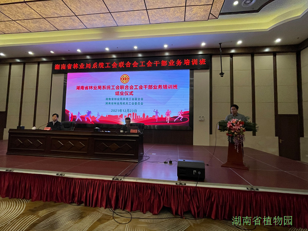 AG旗舰厅(中国游)官方网站