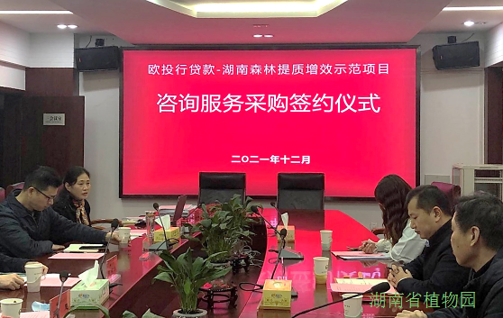 AG旗舰厅(中国游)官方网站
