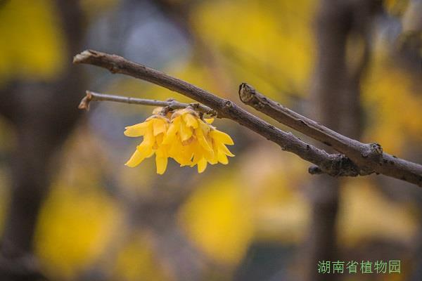 AG旗舰厅(中国游)官方网站