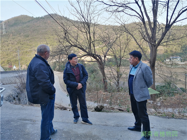 AG旗舰厅(中国游)官方网站