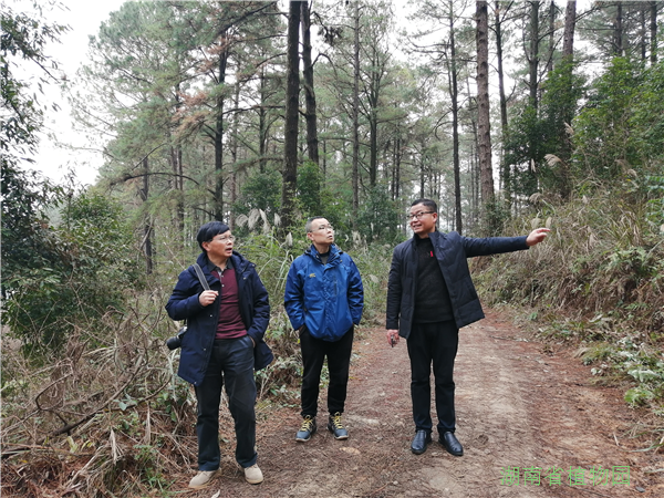 AG旗舰厅(中国游)官方网站