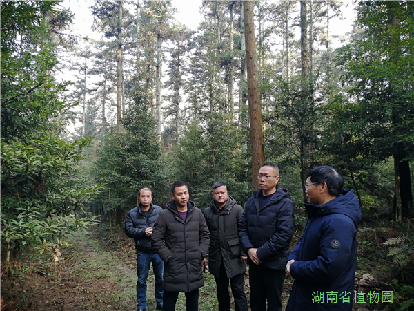 AG旗舰厅(中国游)官方网站