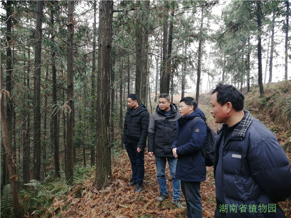 AG旗舰厅(中国游)官方网站