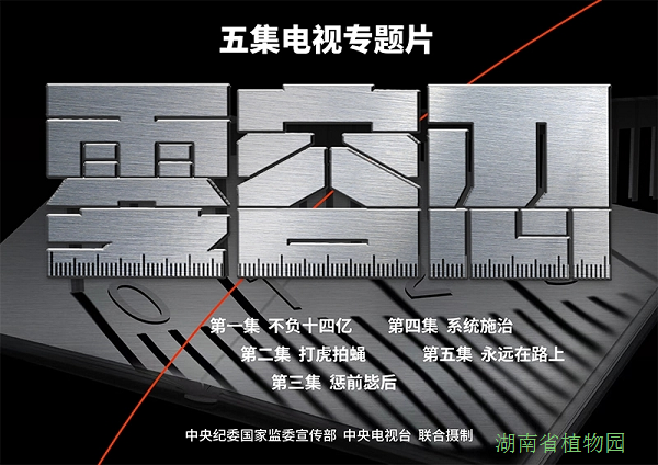 AG旗舰厅(中国游)官方网站