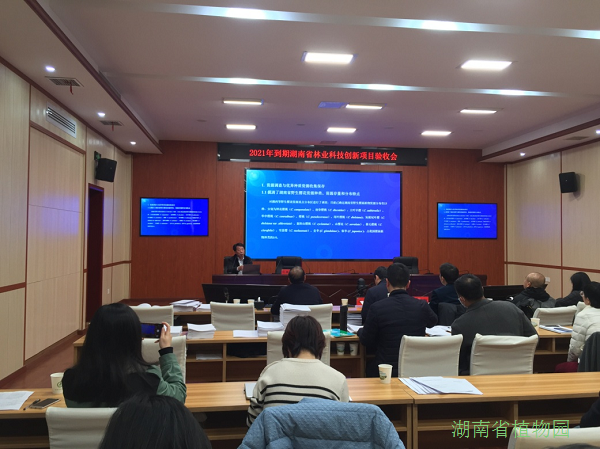 AG旗舰厅(中国游)官方网站