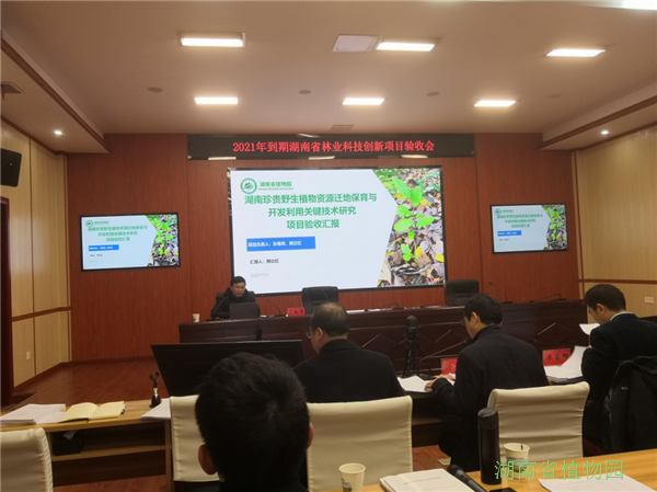 AG旗舰厅(中国游)官方网站
