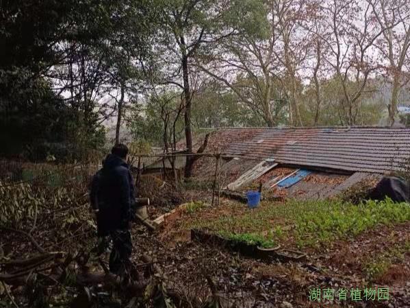 AG旗舰厅(中国游)官方网站
