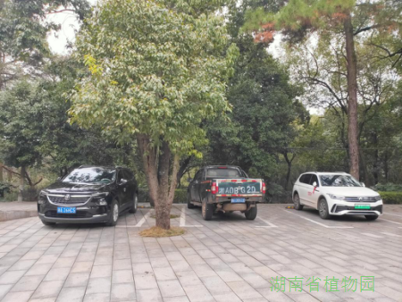 AG旗舰厅(中国游)官方网站