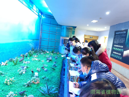 AG旗舰厅(中国游)官方网站