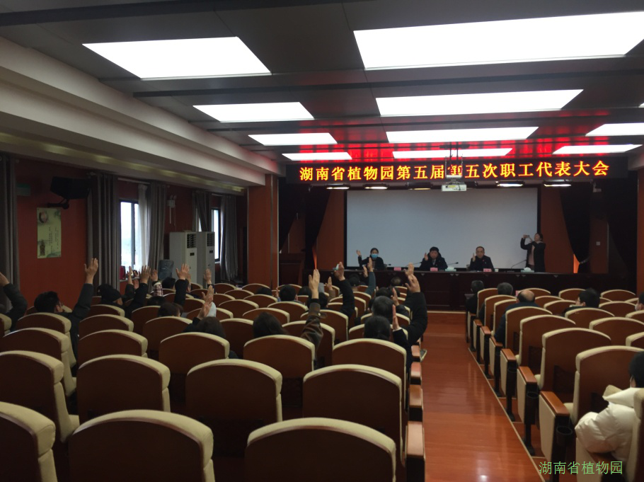 AG旗舰厅(中国游)官方网站