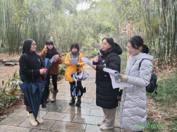 AG旗舰厅(中国游)官方网站