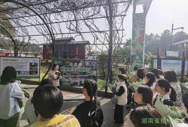 AG旗舰厅(中国游)官方网站