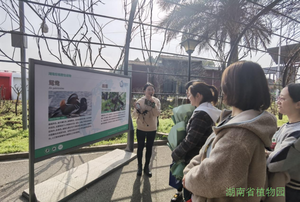 AG旗舰厅(中国游)官方网站