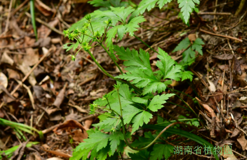 AG旗舰厅(中国游)官方网站