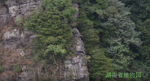 AG旗舰厅(中国游)官方网站