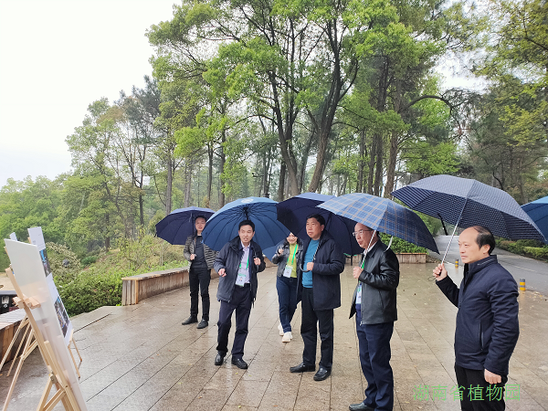 AG旗舰厅(中国游)官方网站