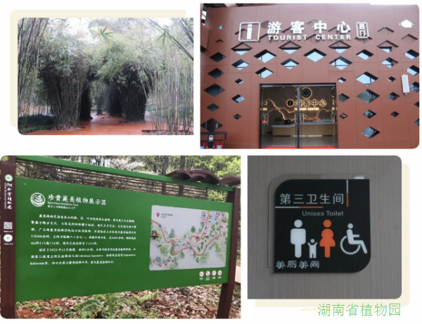 AG旗舰厅(中国游)官方网站