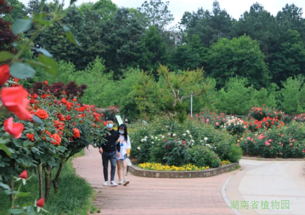 AG旗舰厅(中国游)官方网站