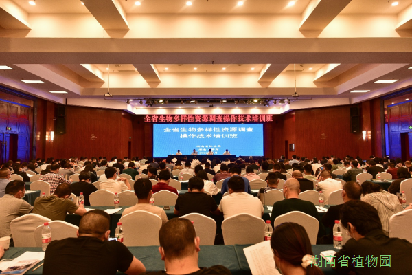 AG旗舰厅(中国游)官方网站