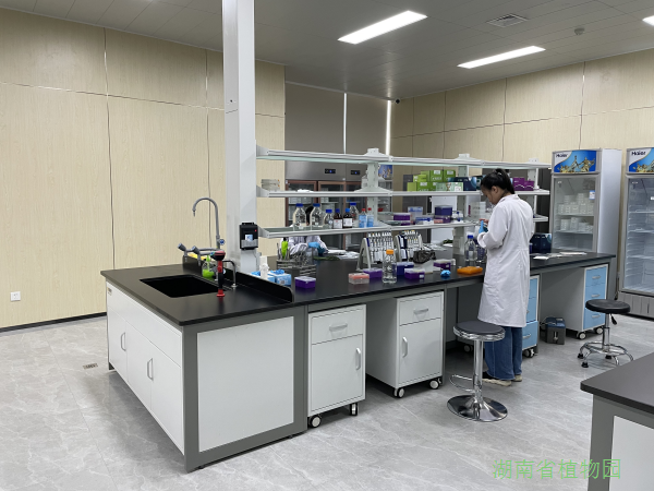 AG旗舰厅(中国游)官方网站