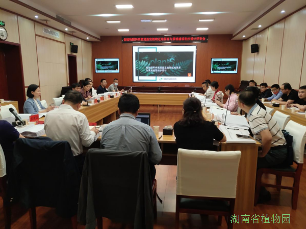 AG旗舰厅(中国游)官方网站