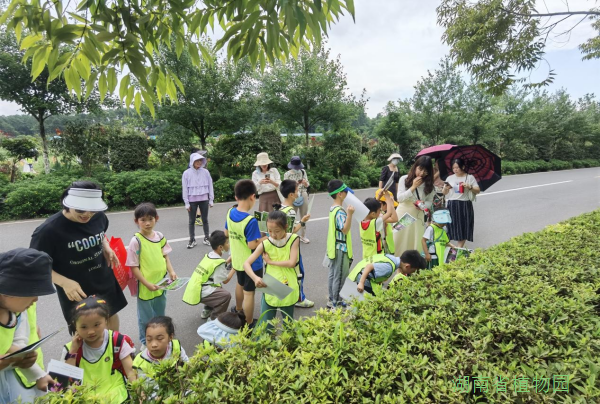 AG旗舰厅(中国游)官方网站