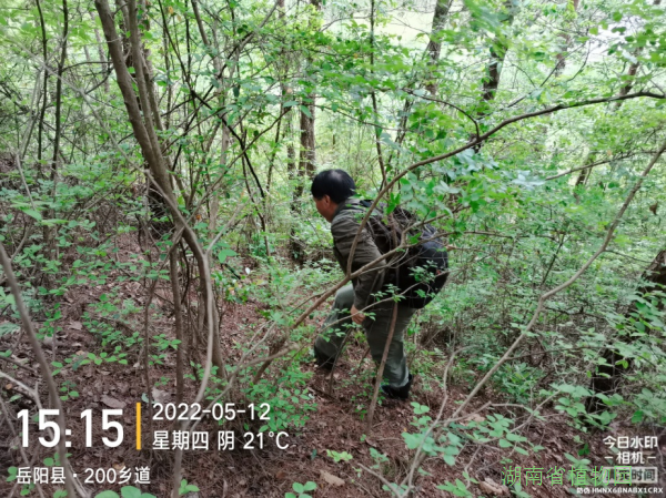 AG旗舰厅(中国游)官方网站