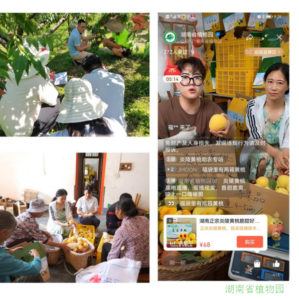 AG旗舰厅(中国游)官方网站