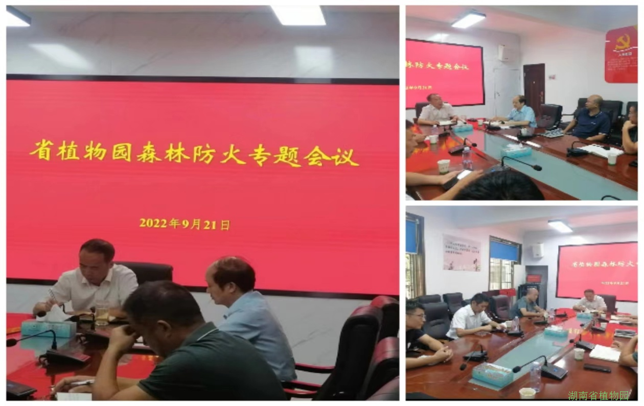 AG旗舰厅(中国游)官方网站