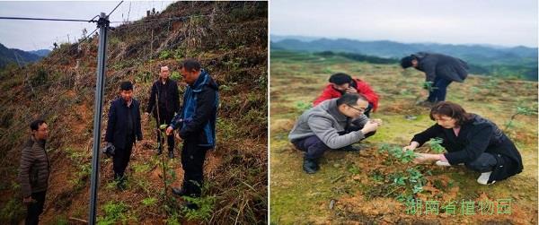 AG旗舰厅(中国游)官方网站