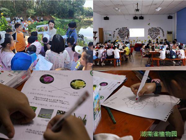 AG旗舰厅(中国游)官方网站
