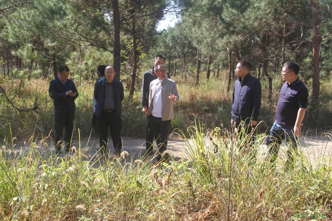 AG旗舰厅(中国游)官方网站